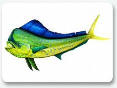 Fish-Graphics-Dolphin-Fish